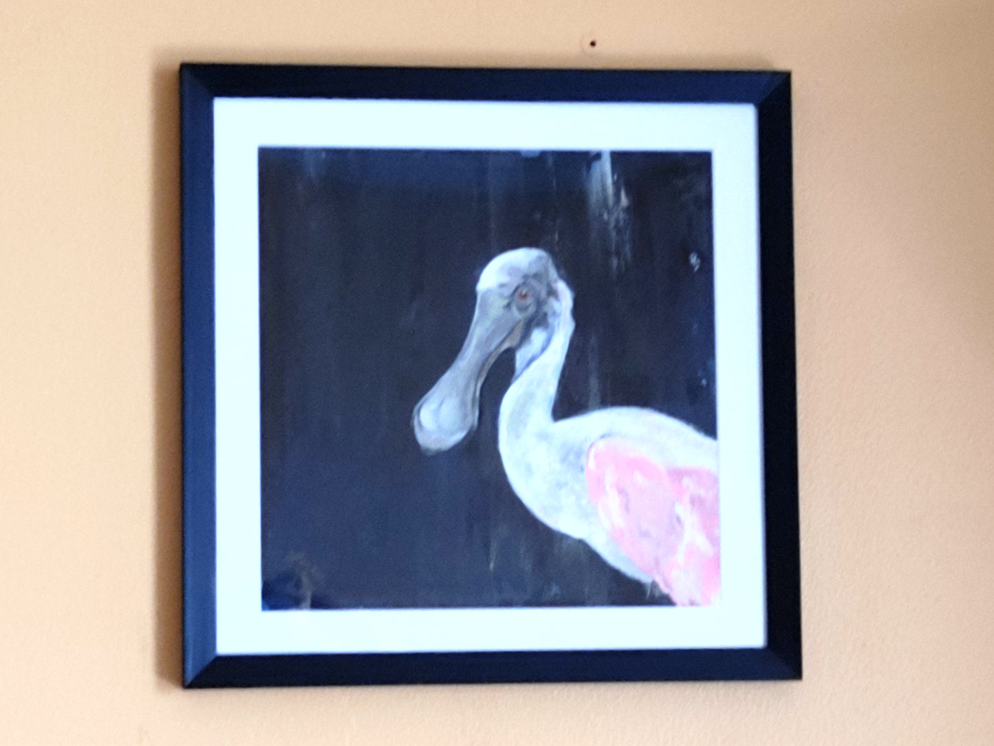 Pink Spoonbill